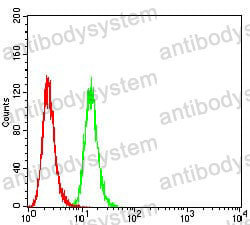 Anti-P2RY1 Antibody (R3L62)