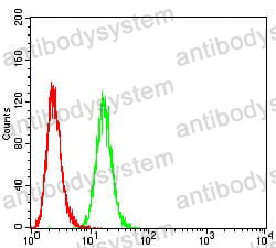 Anti-P2RY1 Antibody (R3L61)