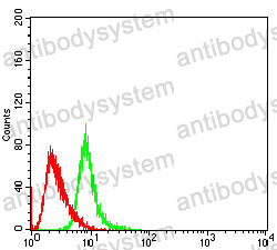 Anti-RISP/UQCRFS1 Antibody (R3L65)