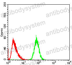 Anti-RISP/UQCRFS1 Antibody (R3L66)