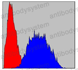 Anti-LIMS1 Antibody (R3L69)