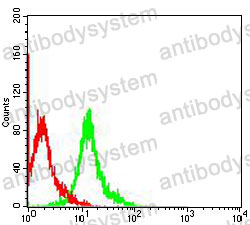 Anti-SOX2 Antibody (R3L73)