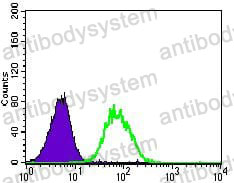 Anti-NES Antibody (R3L76)