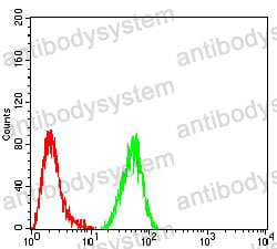 Anti-IDH2 Antibody (R3L77)