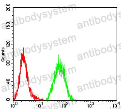 Anti-IDH2 Antibody (R3L78)
