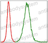 Anti-TNNI2 Antibody (R3L82)