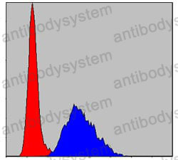 Anti-TNNI2 Antibody (R3L80)