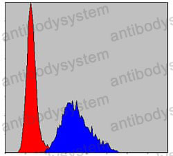 Anti-TNNI2 Antibody (R3L81)