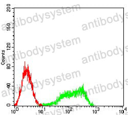 Anti-CD97/ADGRE5 Antibody (R3L83)