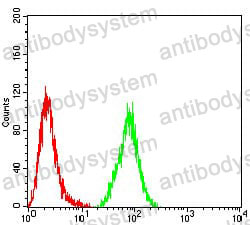 Anti-NR2C2 Antibody (R3L85)