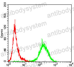 Anti-CX3CR1 Antibody (R3L86)
