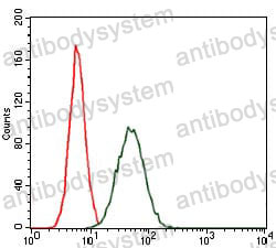Anti-CEBPA Antibody (R3L95)