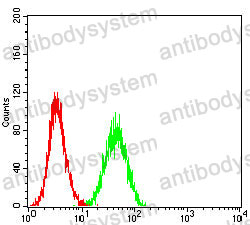 Anti-GZMK Antibody (R3M14)