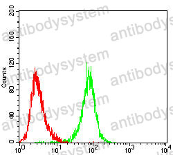 Anti-GZMK Antibody (R3M13)