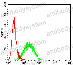 Anti-CDKN1C Antibody (R3M16)