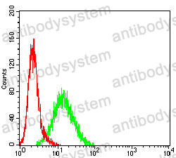 Anti-CDKN1C Antibody (R3M17)