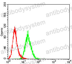 Anti-MRE11 Antibody (R3M19)
