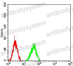 Anti-MMP14 Antibody (R3M27)