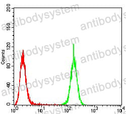 Anti-EMD Antibody (R3M28)
