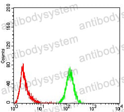 Anti-EMD Antibody (R3M29)