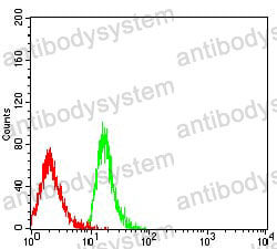 Anti-CD239/BCAM Antibody (R3M42)