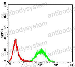 Anti-RAB13 Antibody (R3M44)