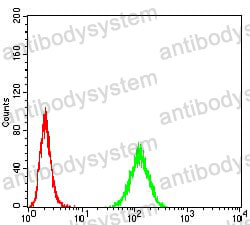Anti-RAB13 Antibody (R3M43)