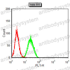 Anti-SMARCA2 Antibody (R3M51)