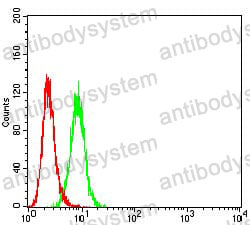 Anti-P2RY4 Antibody (R3M54)