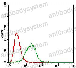 Anti-CAV2 Antibody (R3M56)