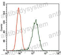 Anti-GPC3/Glypican 3 Antibody (R3M57)