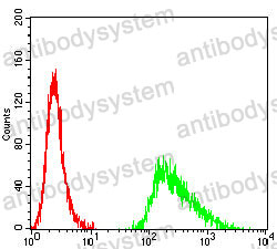 Anti-GPC3/Glypican 3 Antibody (R3M60)