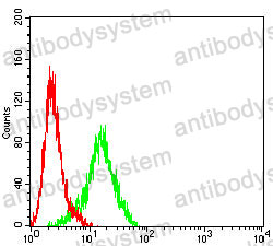Anti-GPC3/Glypican 3 Antibody (R3M61)