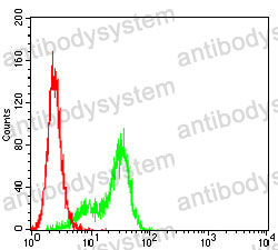 Anti-GPC3/Glypican 3 Antibody (R3M62)