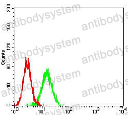 Anti-CD195/CCR5 Antibody (R3M65)