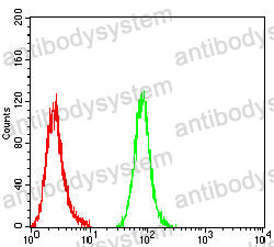 Anti-CD196/CCR6 Antibody (R3M66)