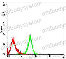 Anti-USP11 Antibody (R3M69)