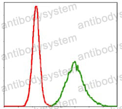 Anti-KCNQ1/KVLQT1 Antibody (R3M70)