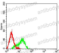 Anti-NAGR1/HNRNPM Antibody (R3M74)