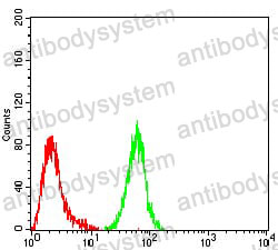 Anti-NAGR1/HNRNPM Antibody (R3M75)