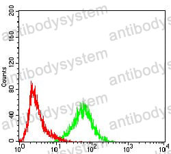 Anti-KPNA2 Antibody (R3M76)