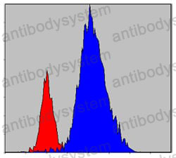 Anti-JAK3 Antibody (R3M78)