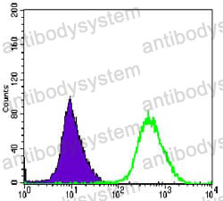 Anti-MAP2K6 Antibody (R3M79)