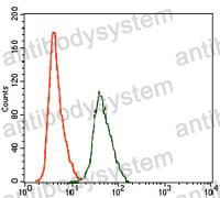 Anti-ARHGDIA Antibody (R3M82)