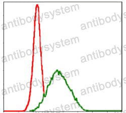 Anti-MSH6 Antibody (R3M85)