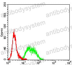 Anti-MSH6 Antibody (R3M86)