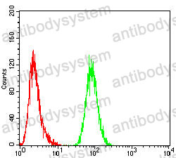 Anti-MSH6 Antibody (R3M87)