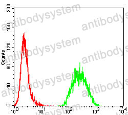 Anti-MSH6 Antibody (R3M88)