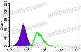 Anti-KIF11 Antibody (R3M89)