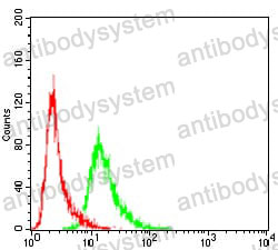 Anti-VAV2 Antibody (R3M91)
